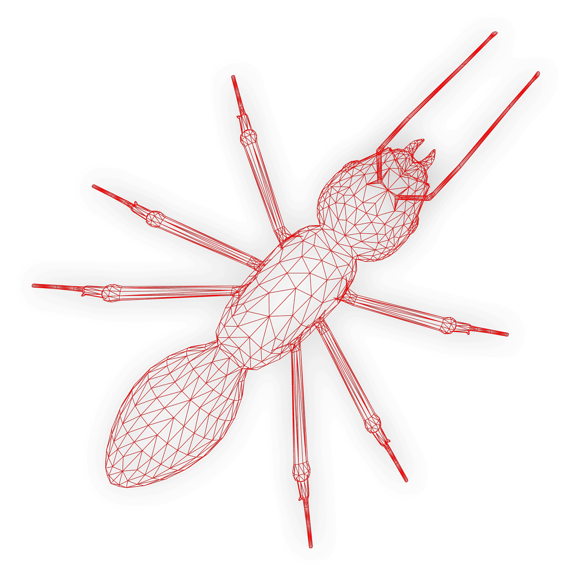 Ant-wireframe